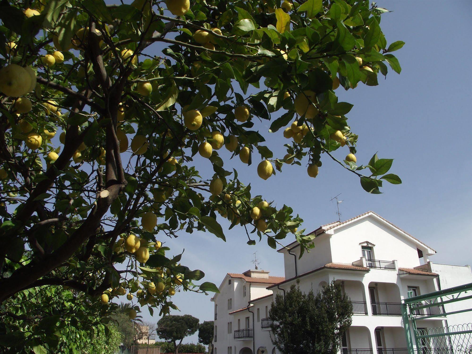 Il Borgo Degli Ulivi Resort Pietra Ligure Exterior foto